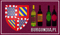 stany zjednoczone nebraska usa wiza do nebraski, tanie linie lotnicze use nowy york corck nebraska, latanie i wizy do usa