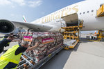 A380_Emirates_50th_04.jpg A380_Emirates_50th_04.jpg