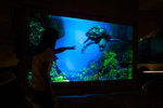PrehistoryczneOceanarium_Krasiejow.jpg PrehistoryczneOceanarium_Krasiejow.jpg